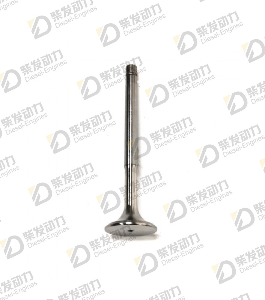 Exhaust valve 842080 
